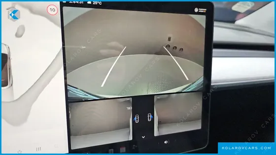 TESLA MODEL Y RWD