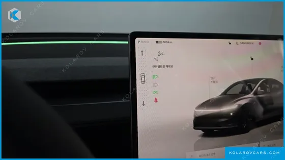 TESLA MODEL Y RWD