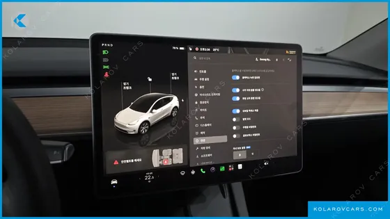 TESLA MODEL Y LONG RANGE AWD