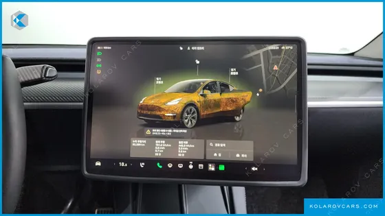 TESLA MODEL Y RWD