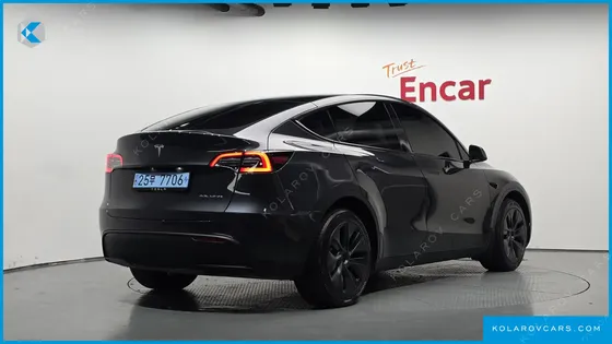 TESLA MODEL Y LONG RANGE AWD