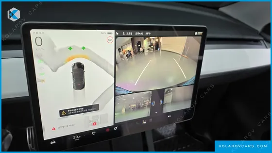 TESLA MODEL Y RWD