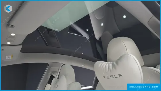 TESLA MODEL Y RWD