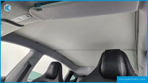 TESLA MODEL Y RWD