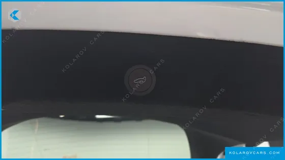 TESLA MODEL Y RWD