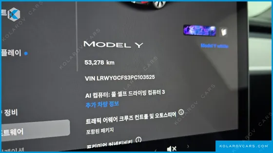 TESLA MODEL Y RWD