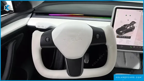 TESLA MODEL Y RWD