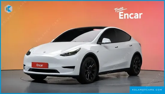 TESLA MODEL Y RWD