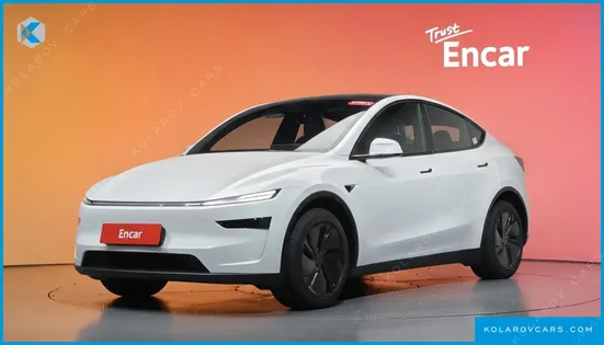 TESLA MODEL Y PREMIUM LONG RANGE AWD