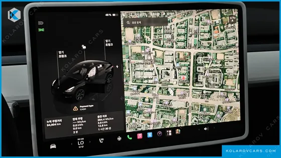 TESLA MODEL Y RWD