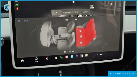 TESLA MODEL Y RWD