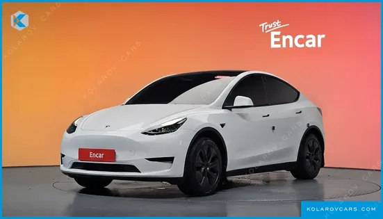 TESLA MODEL Y RWD