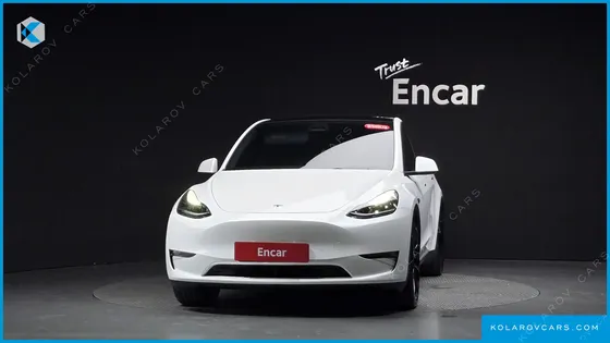 TESLA MODEL Y LONG RANGE AWD