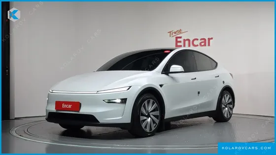 TESLA MODEL Y LONG RANGE AWD