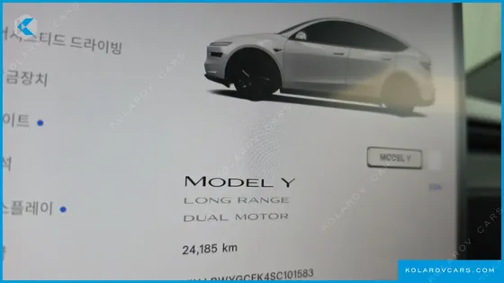 TESLA MODEL Y LONG RANGE AWD
