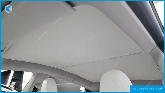 TESLA MODEL Y RWD