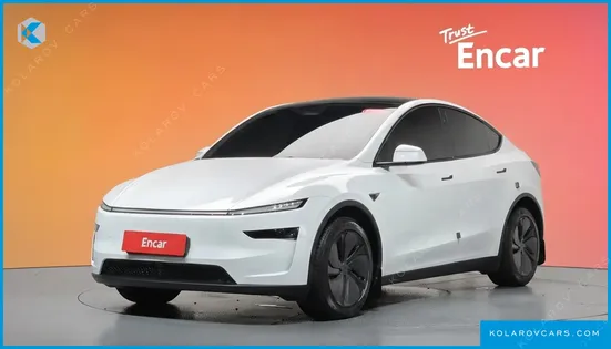 TESLA MODEL Y LONG RANGE AWD