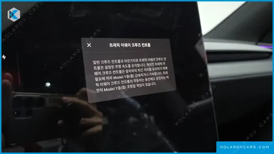 TESLA MODEL Y L LONG RANGE AWD