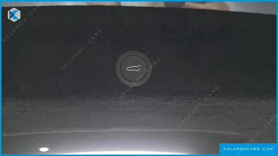 TESLA MODEL Y L LONG RANGE AWD