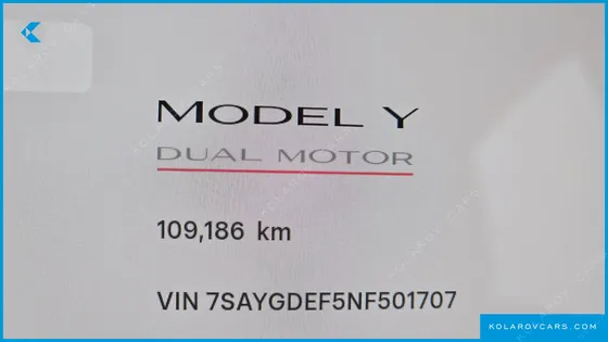 TESLA MODEL Y PERFORMANCE AWD