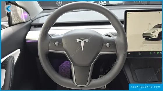 TESLA MODEL Y PERFORMANCE AWD