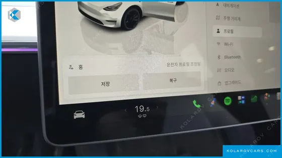 TESLA MODEL Y PERFORMANCE AWD