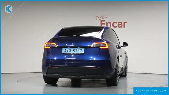 TESLA MODEL Y PERFORMANCE AWD