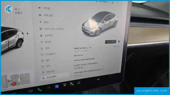 TESLA MODEL Y STANDARD RANGE RWD