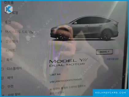 TESLA MODEL Y L LONG RANGE AWD