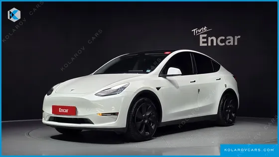 TESLA MODEL Y STANDARD RANGE RWD