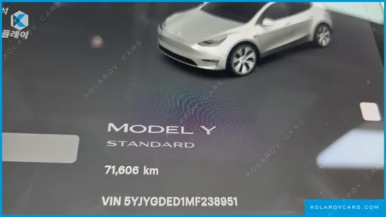 TESLA MODEL Y STANDARD RANGE RWD