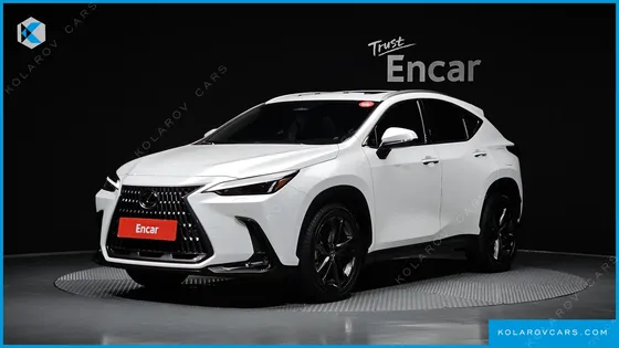 LEXUS NX PREMIUM