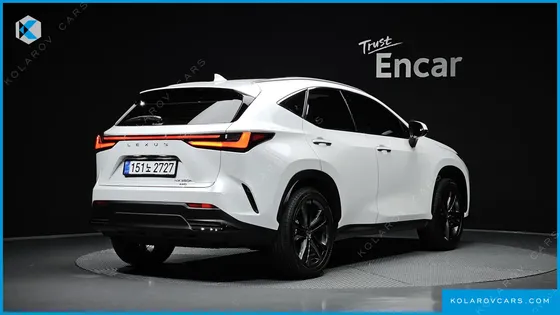 LEXUS NX PREMIUM
