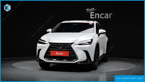 LEXUS NX PREMIUM