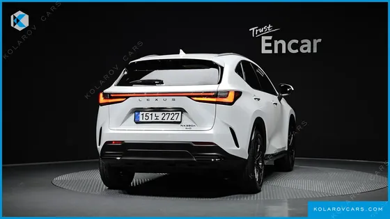 LEXUS NX PREMIUM