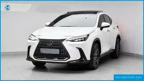 LEXUS NX LUXURY