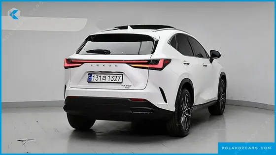 LEXUS NX LUXURY