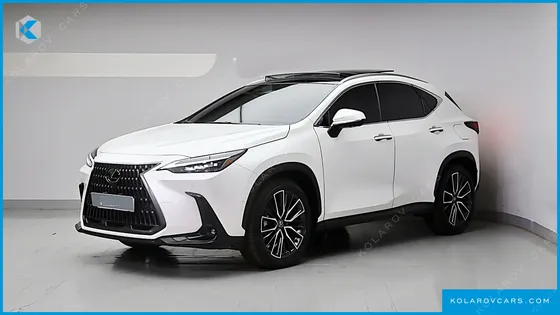 LEXUS NX LUXURY