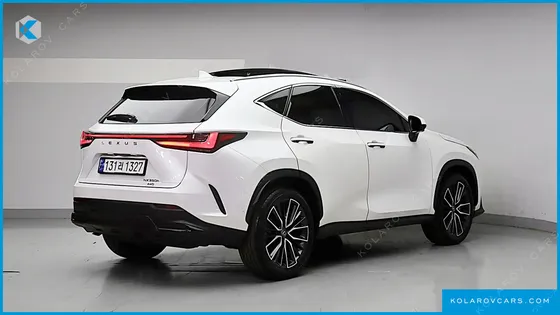 LEXUS NX LUXURY