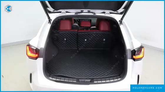 LEXUS NX LUXURY