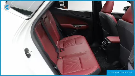 LEXUS NX LUXURY