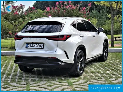 LEXUS NX PREMIUM