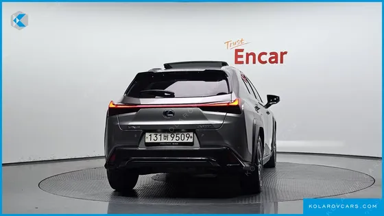 LEXUS UX 2.0 F-SPORT 2WD