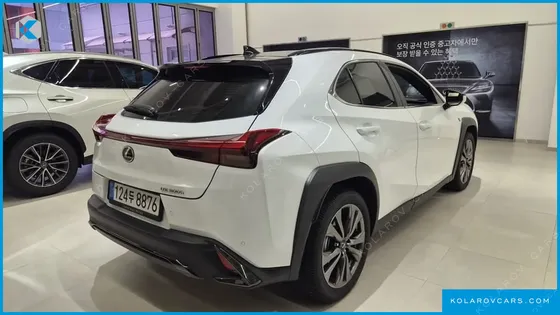 LEXUS UX 2.0 F-SPORT 2WD