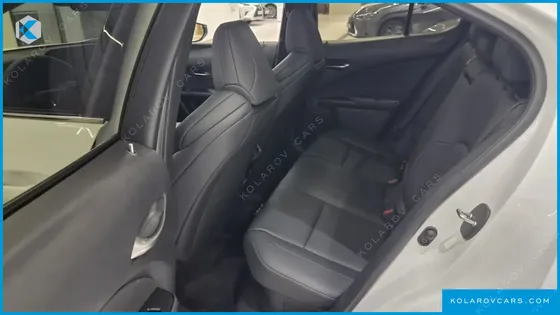 LEXUS UX 2.0 F-SPORT 2WD