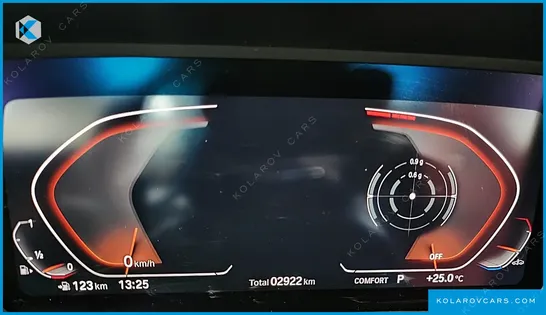 BMW Z4 SDRIVE20I M SPORT