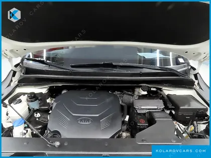 KIA CARNIVAL GASOLINE 9-SEATER NOBLESSE SPECIAL