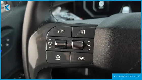 KIA EV9 LONG RANGE 4WD