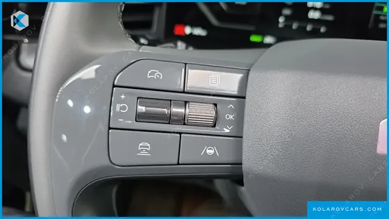 KIA EV9 LONG RANGE 4WD