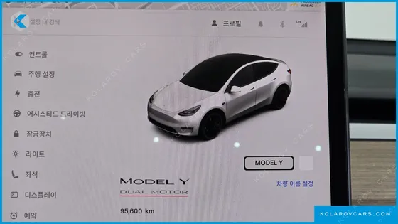 TESLA MODEL Y PERFORMANCE AWD